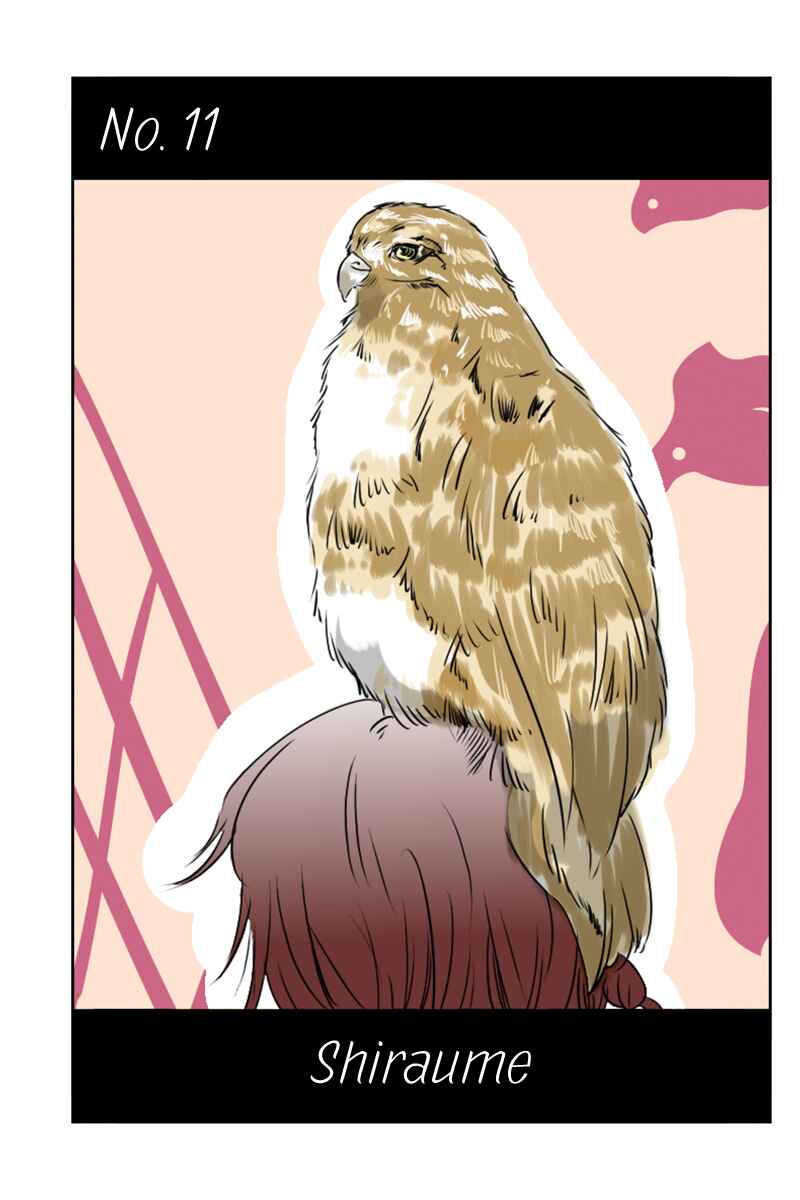 Page 1 Chapter 11 Hikari no Iroha