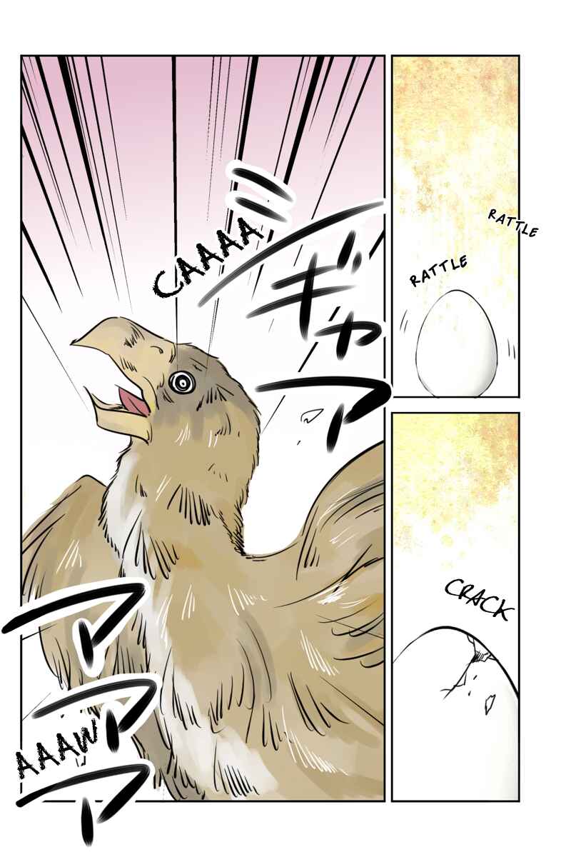 Page 2 Chapter 18 Hikari no Iroha