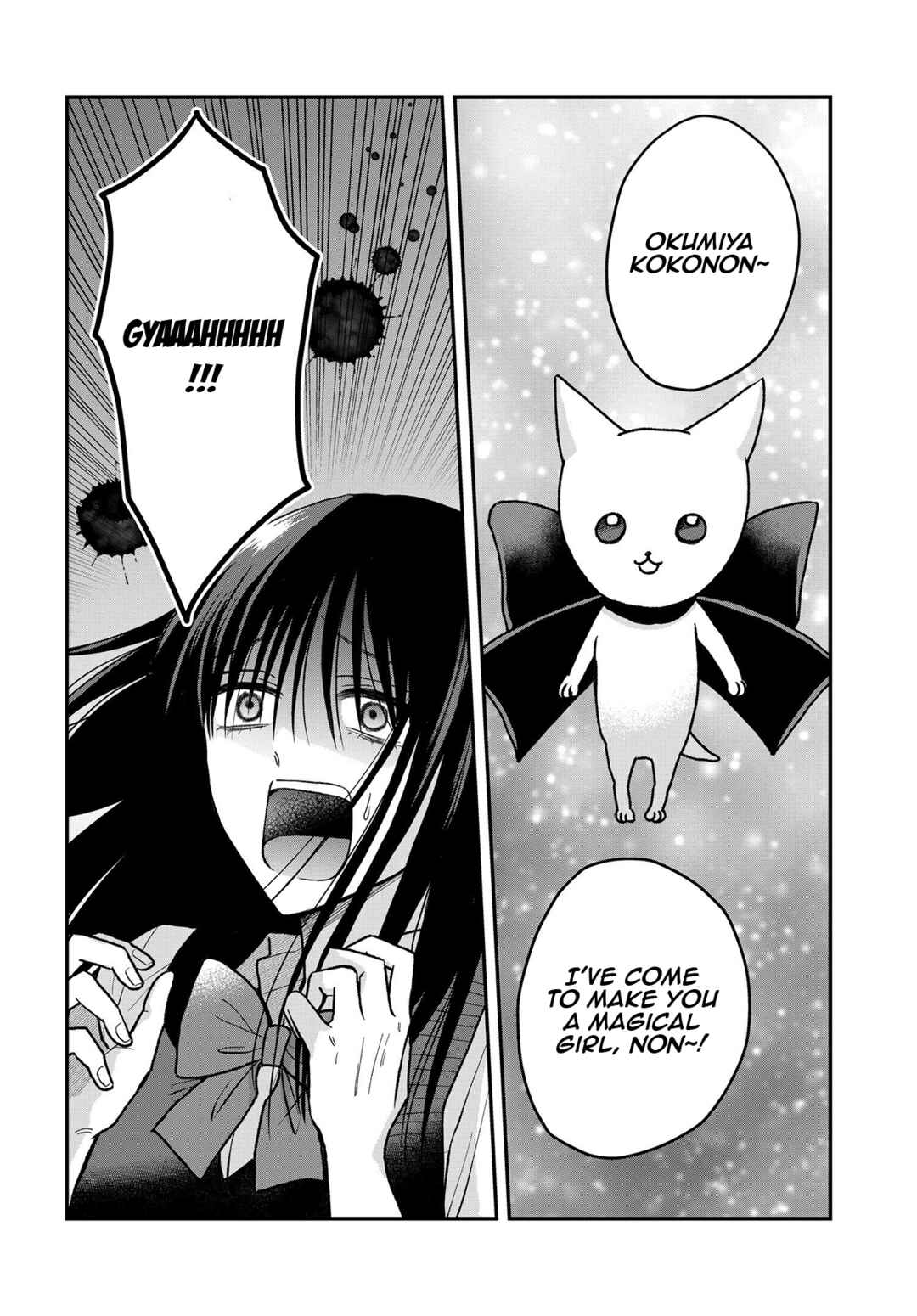 Page 3 Chapter 12.5 My Wife Could Be a Magical Girl