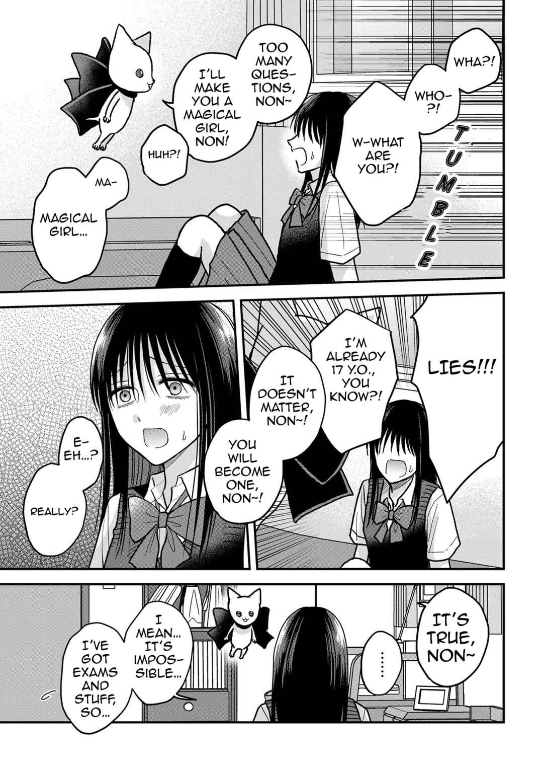 Page 4 Chapter 12.5 My Wife Could Be a Magical Girl