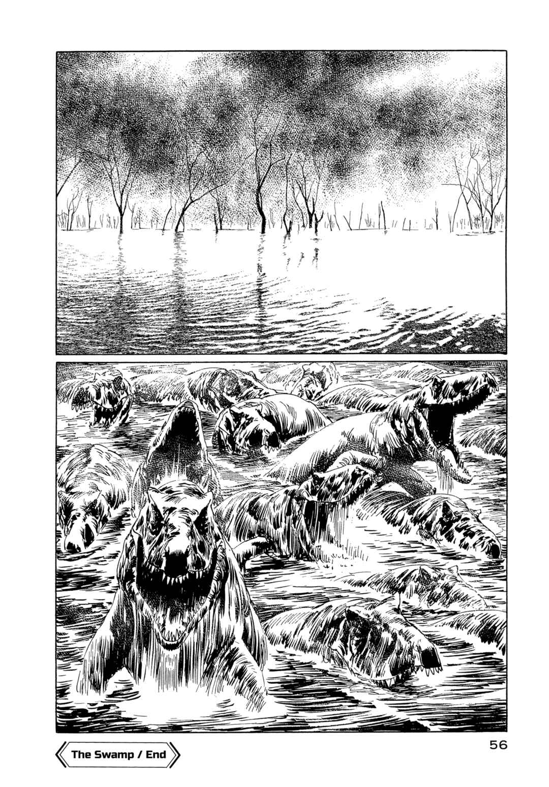 Page 21 Chapter 11 The Blue World
