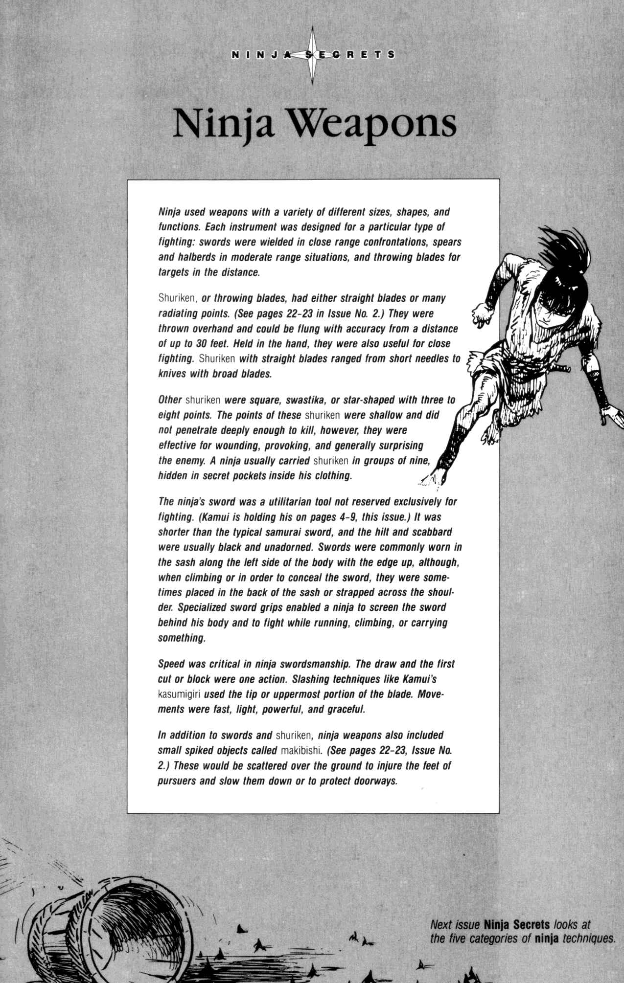 Page 35 Chapter 3 Kamui Gaiden