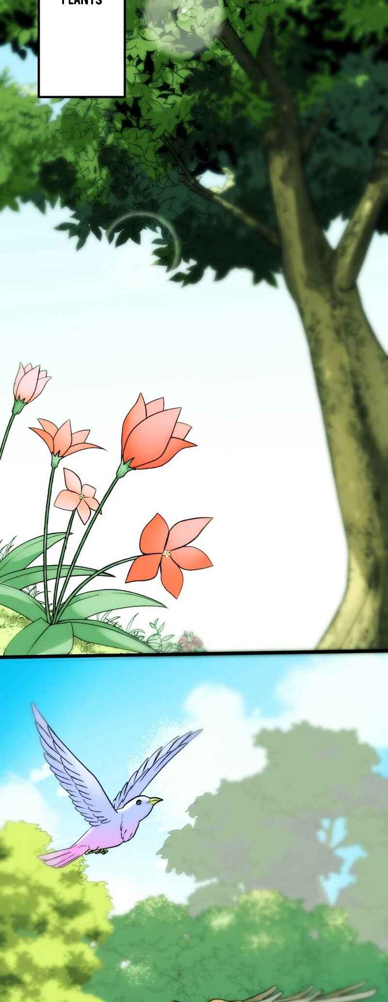 Page 17 Chapter 1 BC - Blood Cell