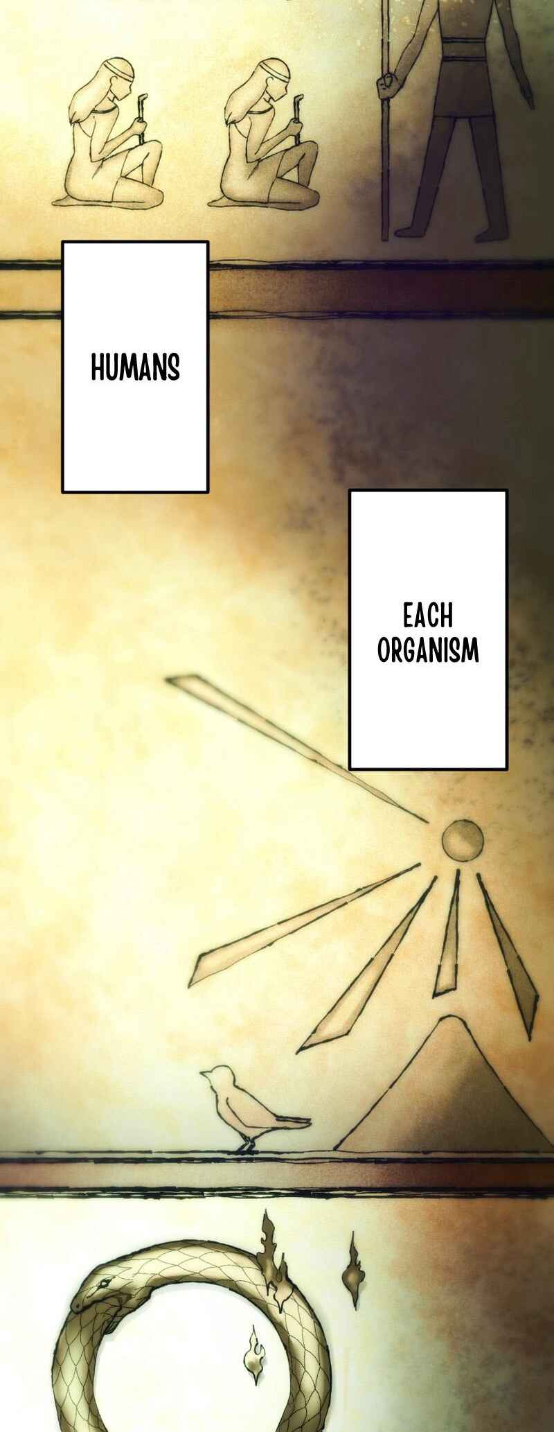 Page 19 Chapter 1 BC - Blood Cell