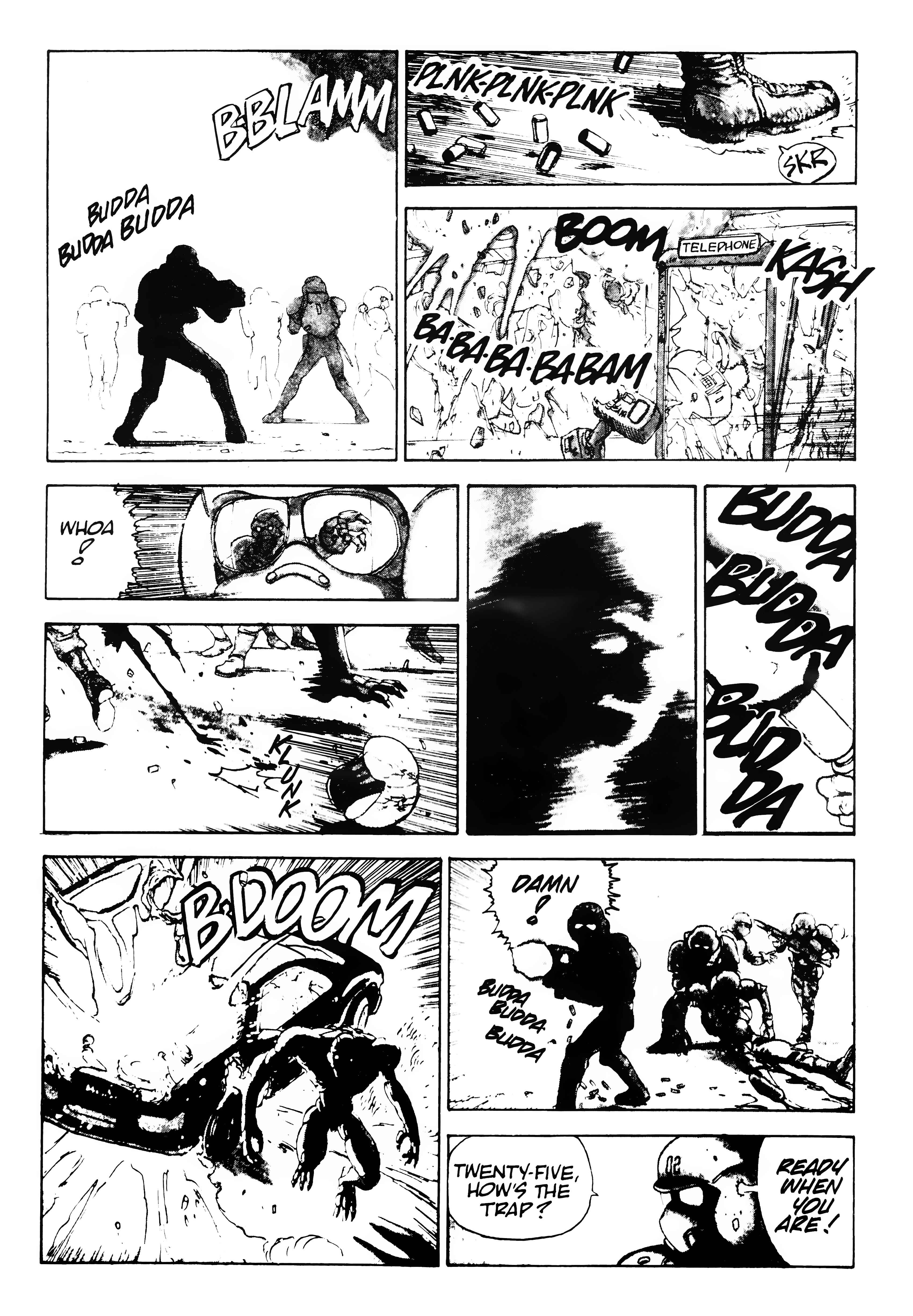 Page 4 Chapter 2 AD. Police