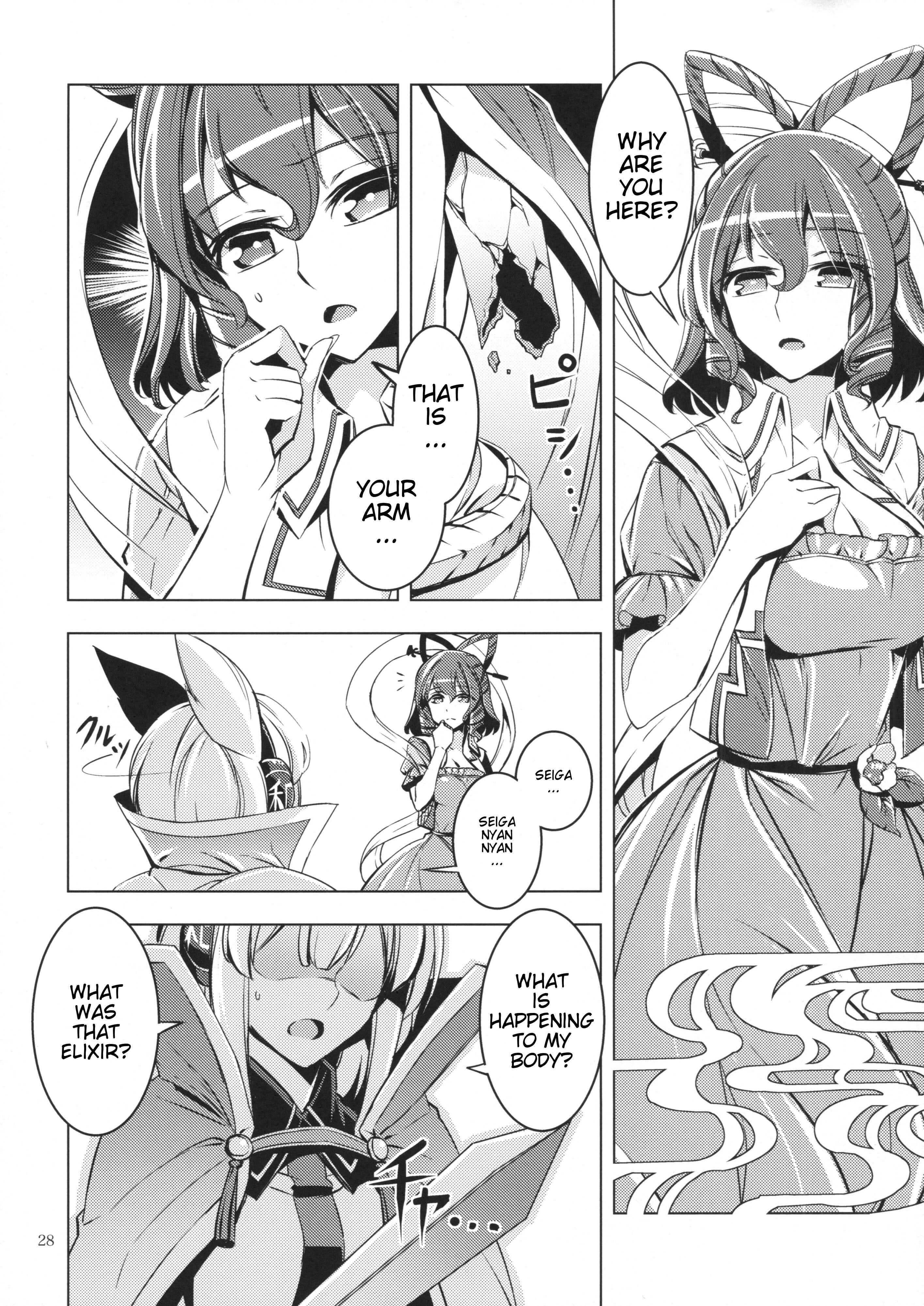 Page 27 Chapter Unknown_31c5 Touhou - Shitei (Doujinshi)