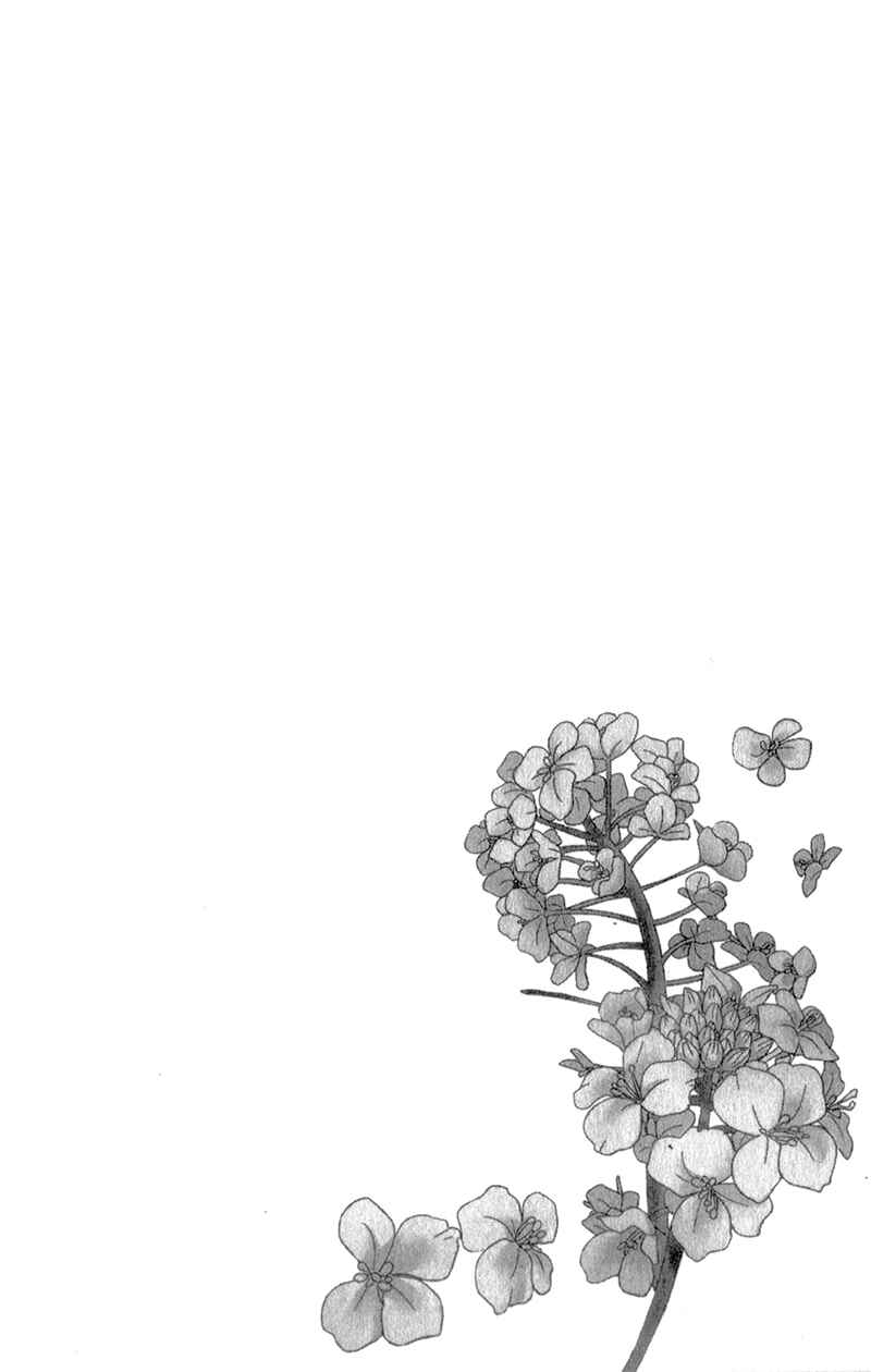 Page 6 Chapter 10 Nanoka no Kare