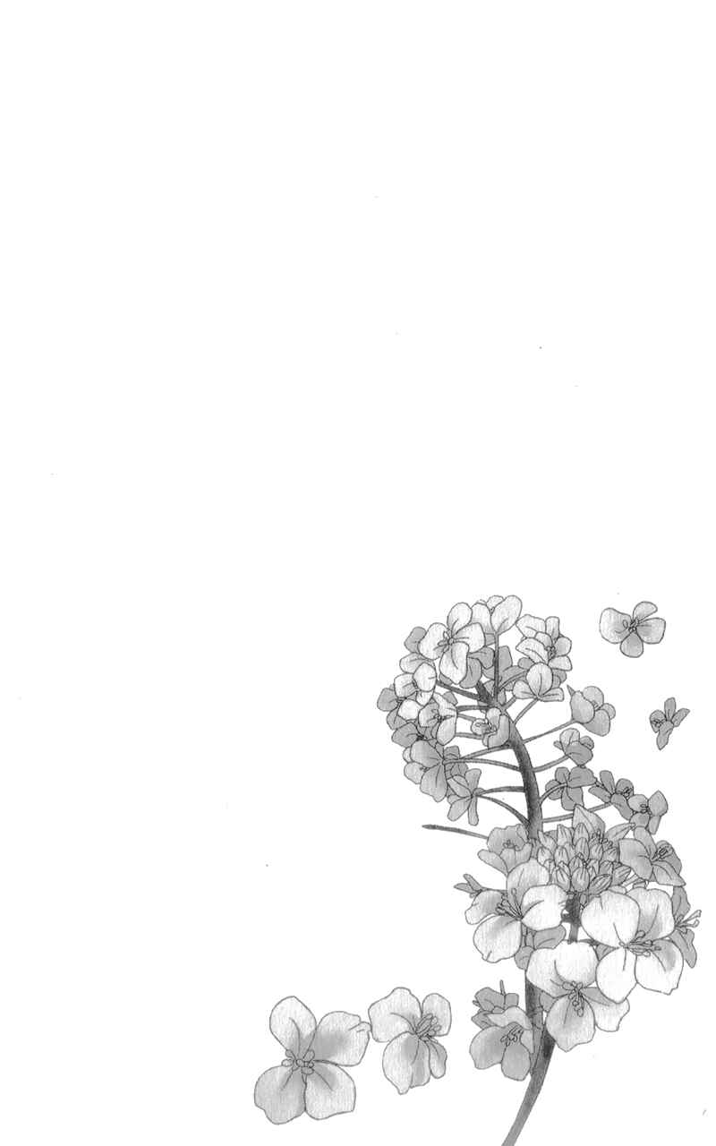 Page 9 Chapter 4 Nanoka no Kare