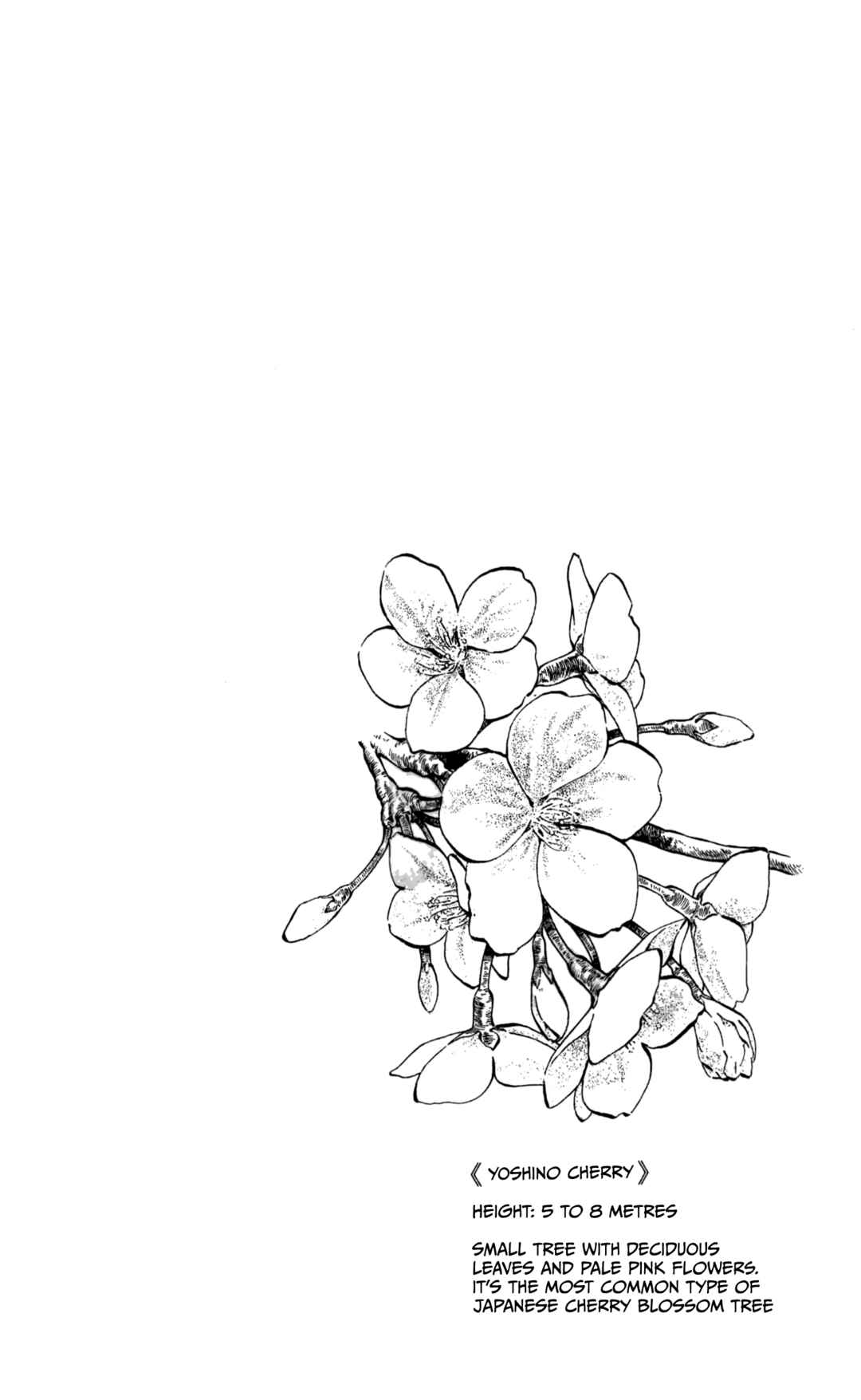 Page 44 Chapter 2 The Time of Cherry Blossoms