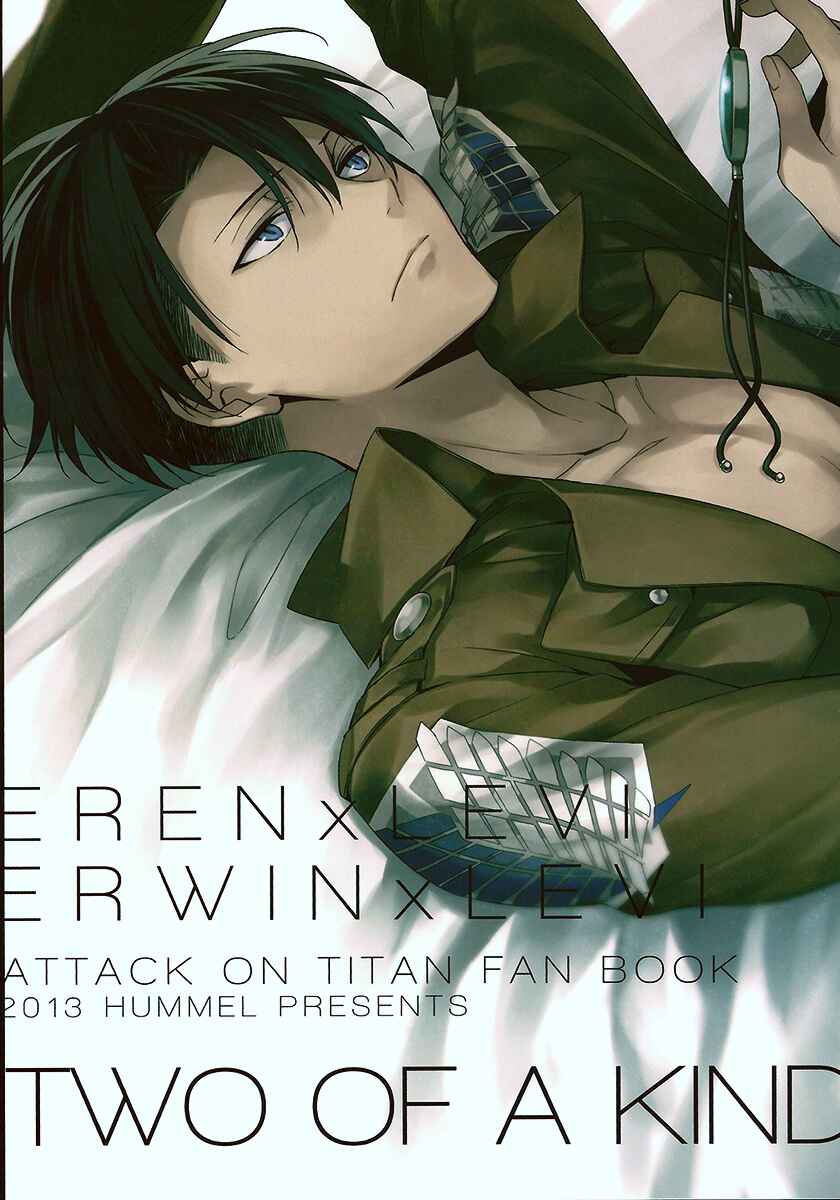 Page 32 Chapter Unknown_9976 Attack on Titan - Two of a Kind (Doujinshi)