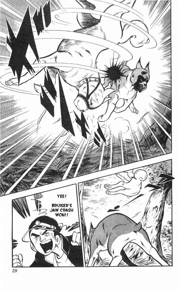 Page 29 Chapter 22 Yamato the White Fighter