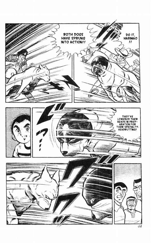 Page 43 Chapter 14 Yamato the White Fighter