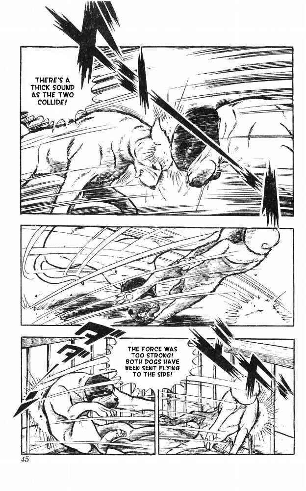 Page 44 Chapter 14 Yamato the White Fighter