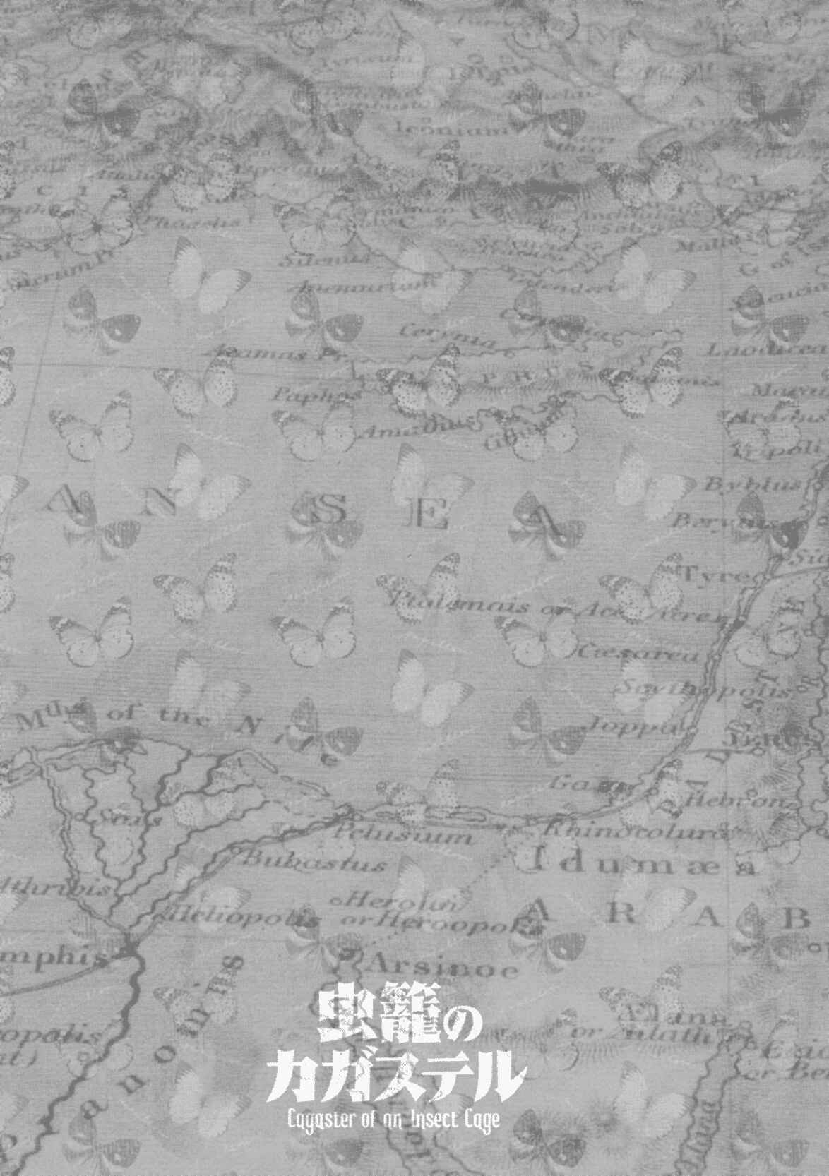 Page 12 Chapter 8.5 Cagaster