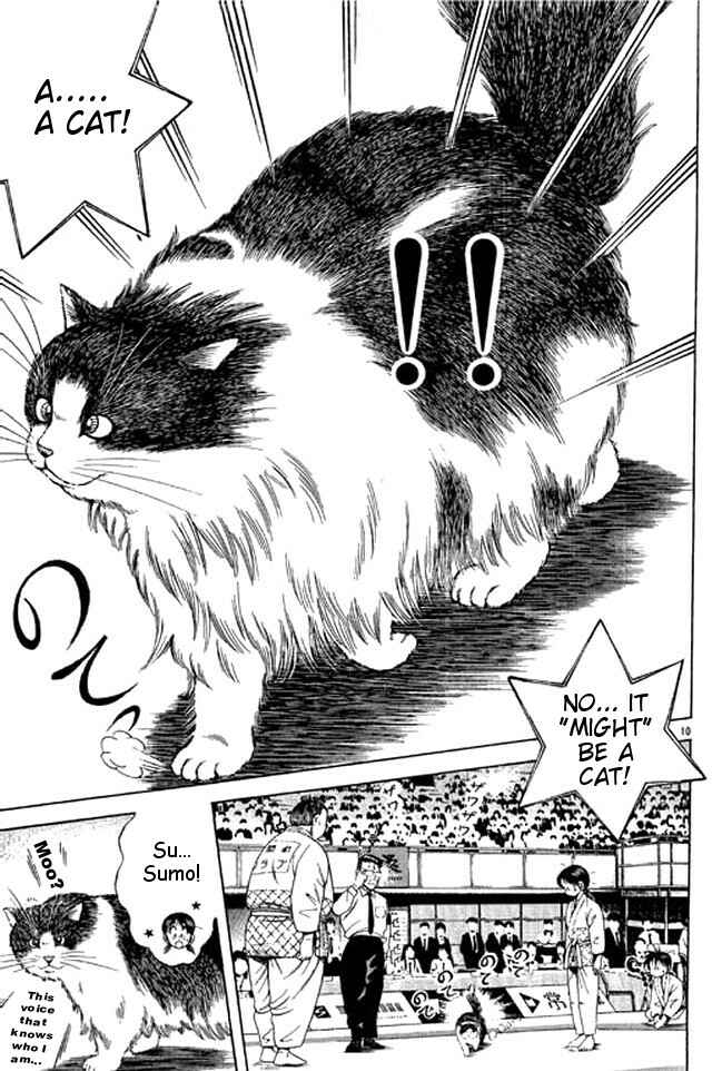 Page 10 Chapter 42 Shin Kotaro Makaritoru! Juudouhen