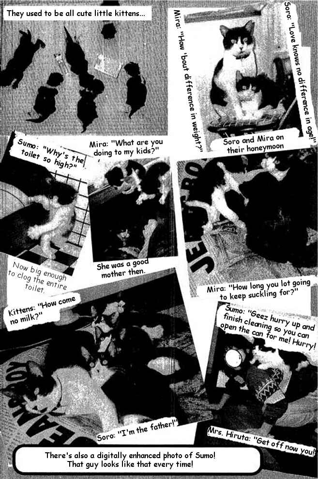 Page 20 Chapter 17 Shin Kotaro Makaritoru! Juudouhen