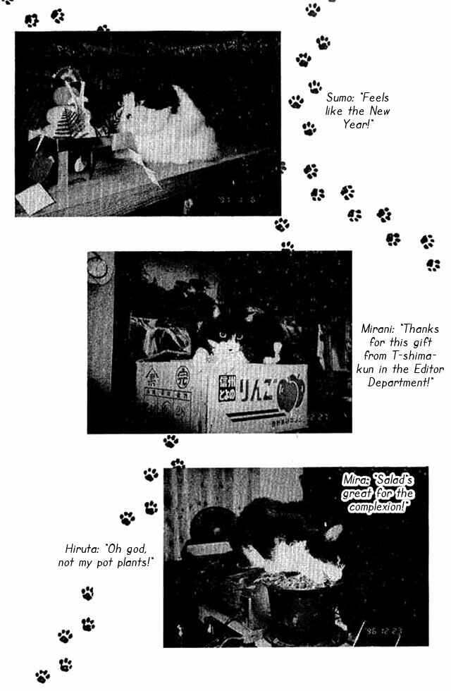 Page 37 Chapter 51 Shin Kotaro Makaritoru! Juudouhen
