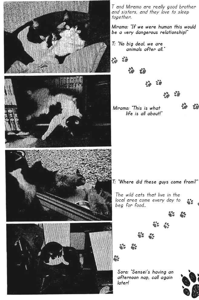 Page 38 Chapter 20 Shin Kotaro Makaritoru! Juudouhen