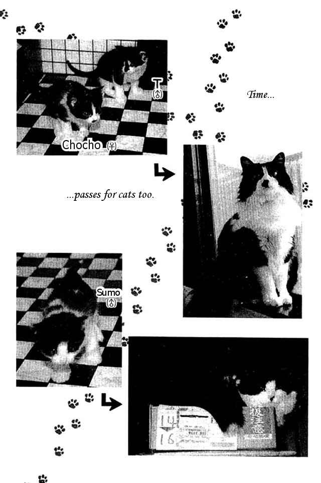 Page 17 Chapter 45 Shin Kotaro Makaritoru! Juudouhen
