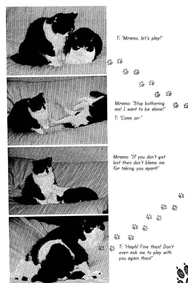 Page 20 Chapter 32 Shin Kotaro Makaritoru! Juudouhen