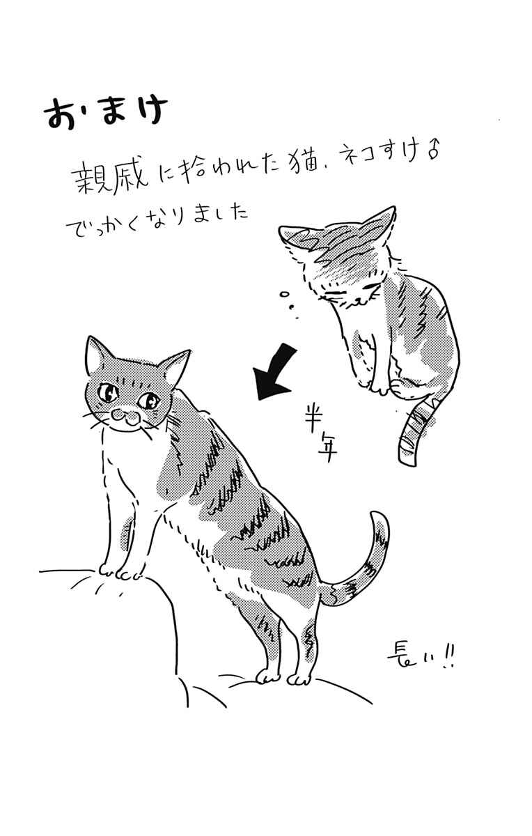 Page 12 Chapter 16.5 Kimi to Eureka