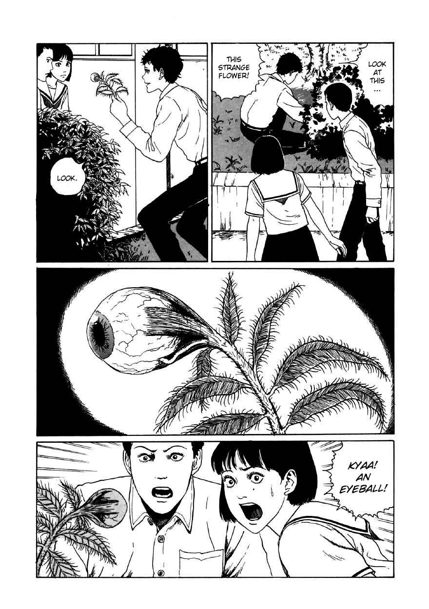 Page 12 Chapter 5 Junji Ito Horror Manga Collection