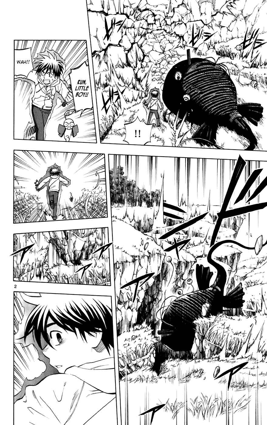 Page 2 Chapter 203 Kekkaishi