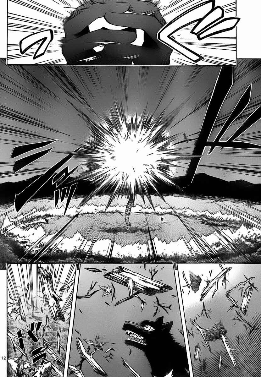 Page 13 Chapter 271 Kekkaishi