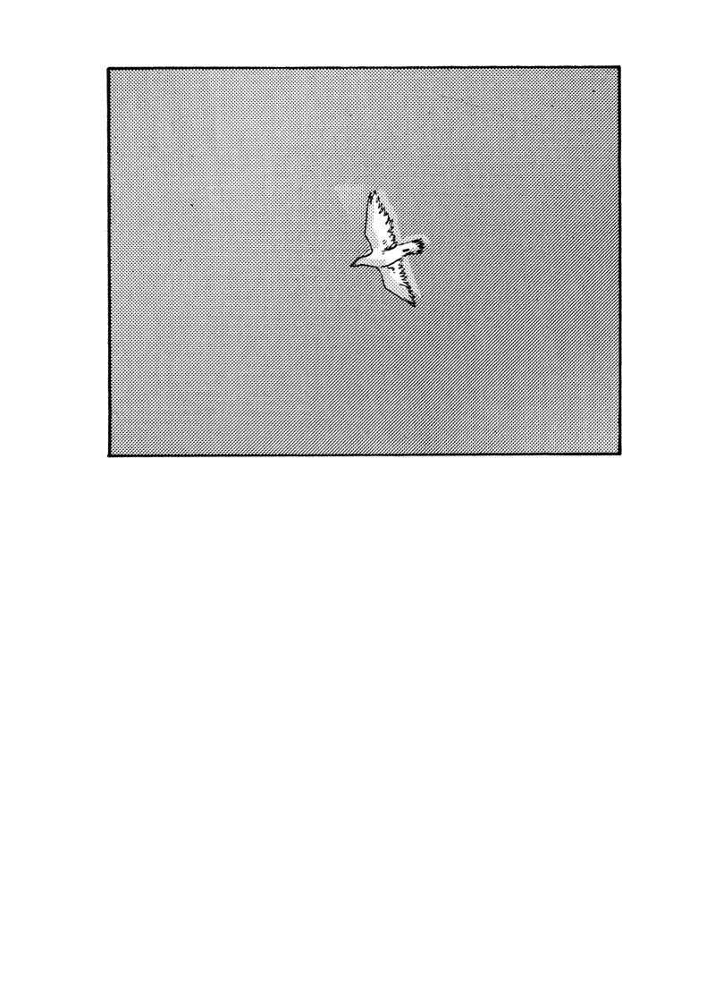 Page 26 Chapter 14 Kamunagara