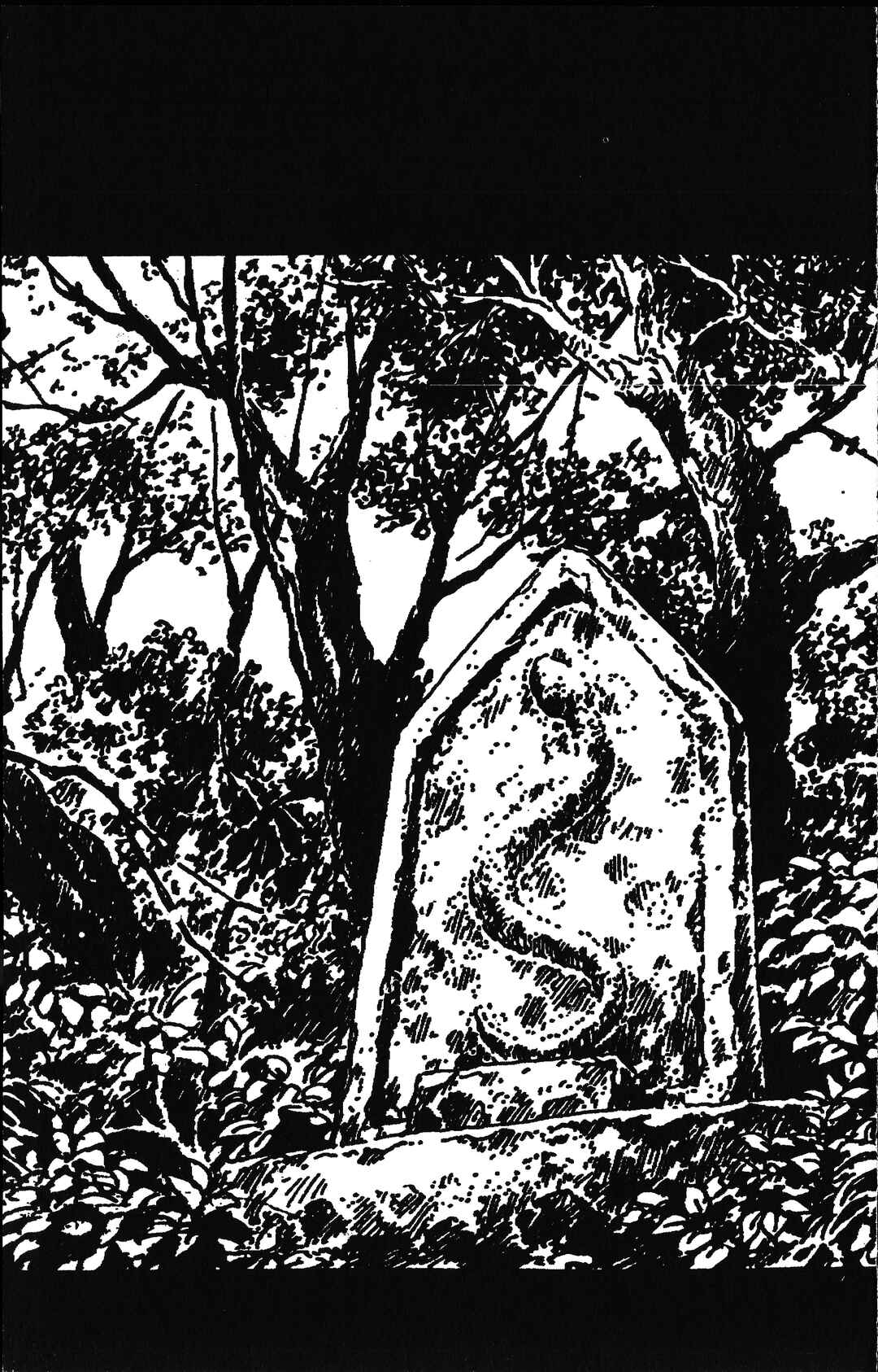 Page 1 Chapter 1.2 Dark Cats