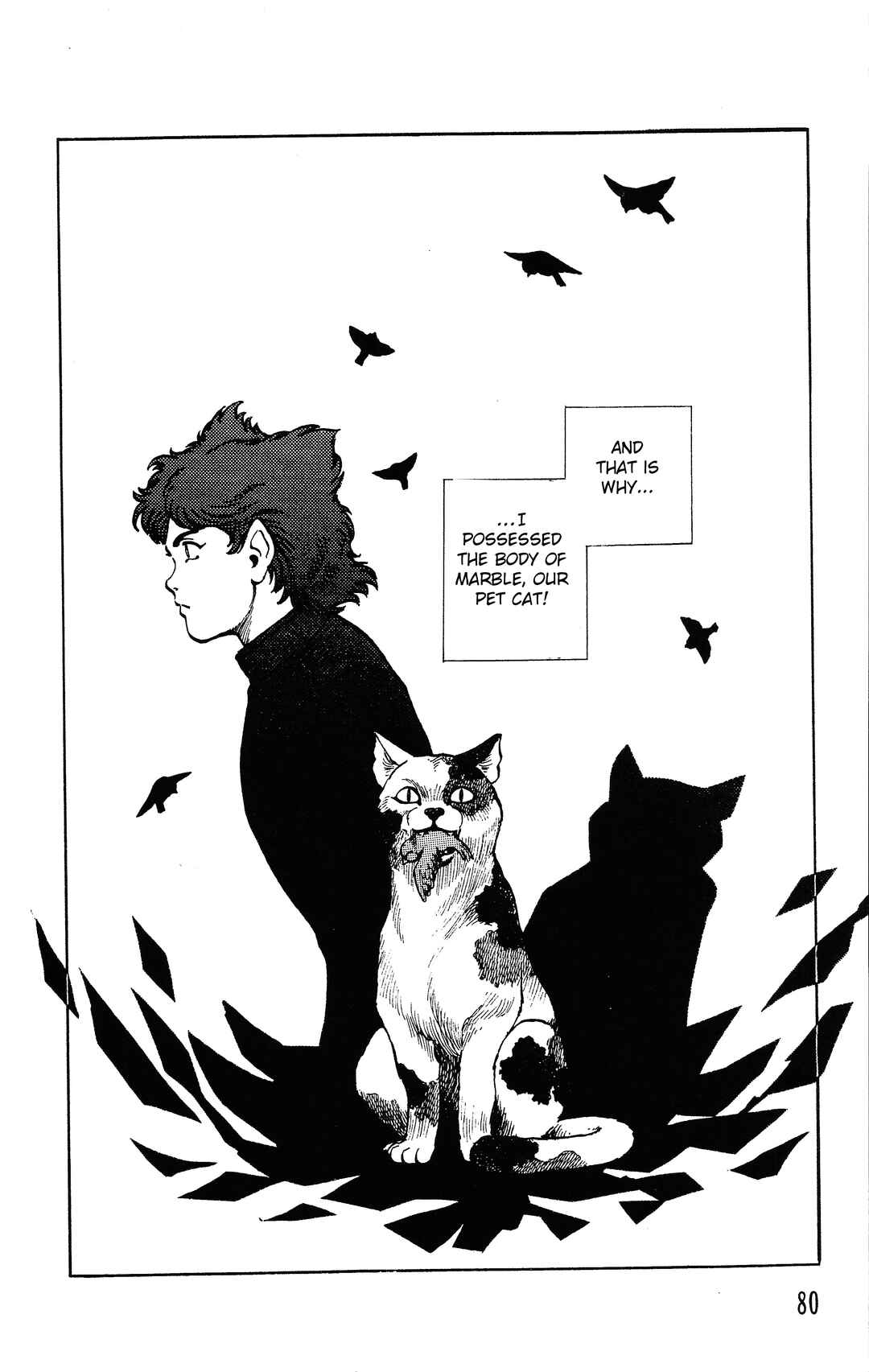 Page 4 Chapter 2 Dark Cats