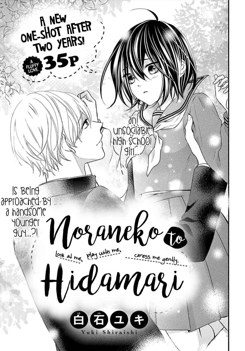 Page 3 Chapter Unknown_203b Noraneko to Hidamari