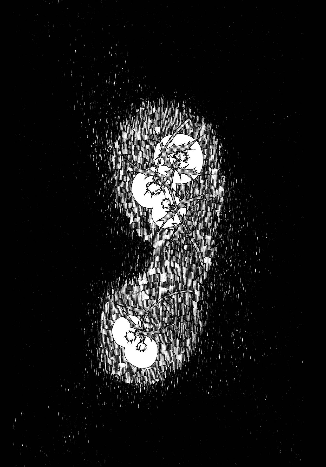 Page 27 Chapter 2 The Land Is a Garden in Your Pocket