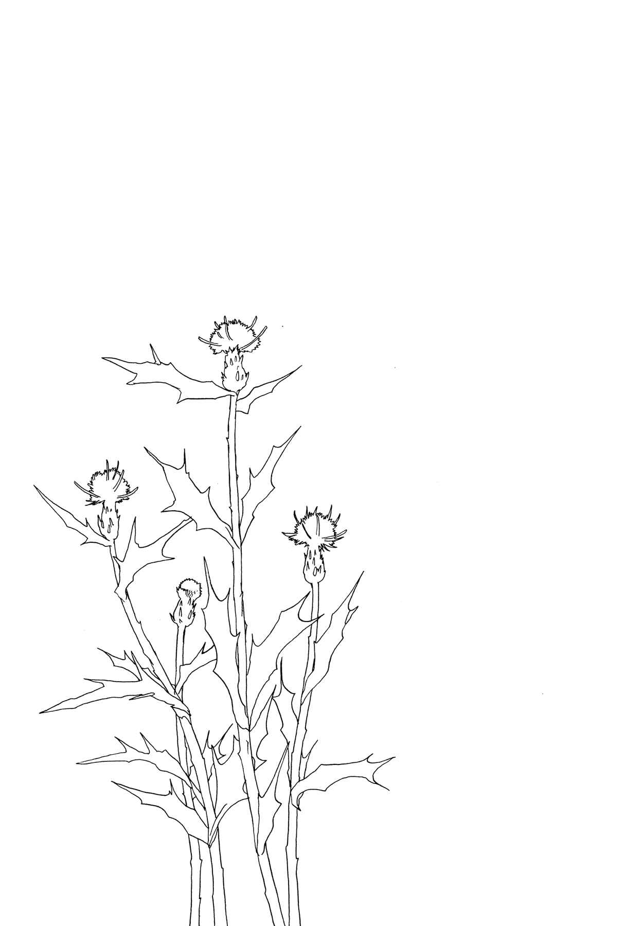 Page 31 Chapter 2 The Land Is a Garden in Your Pocket