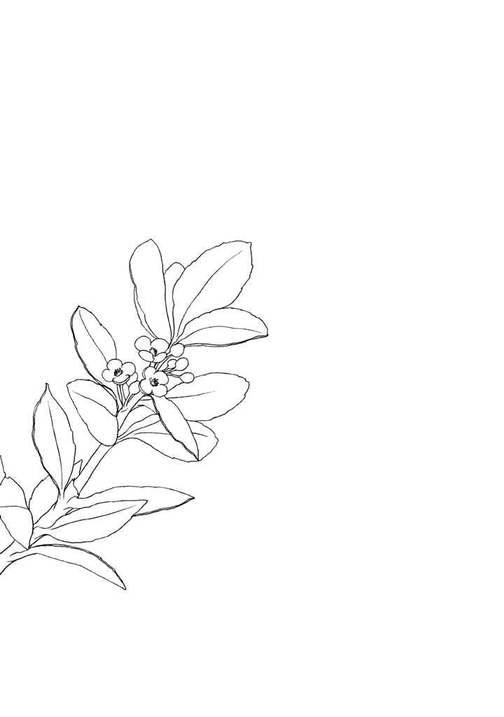 Page 15 Chapter 5.5 The Land Is a Garden in Your Pocket