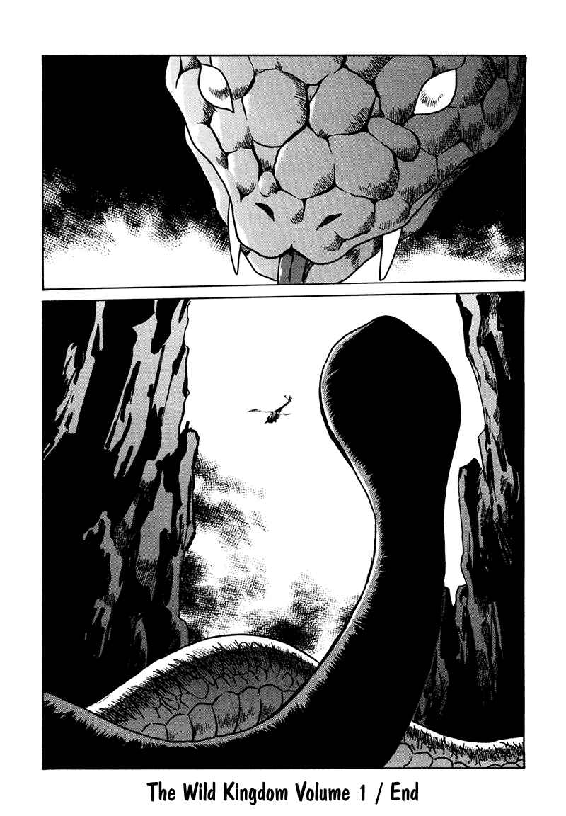 Page 33 Chapter 5 The Wild Kingdom
