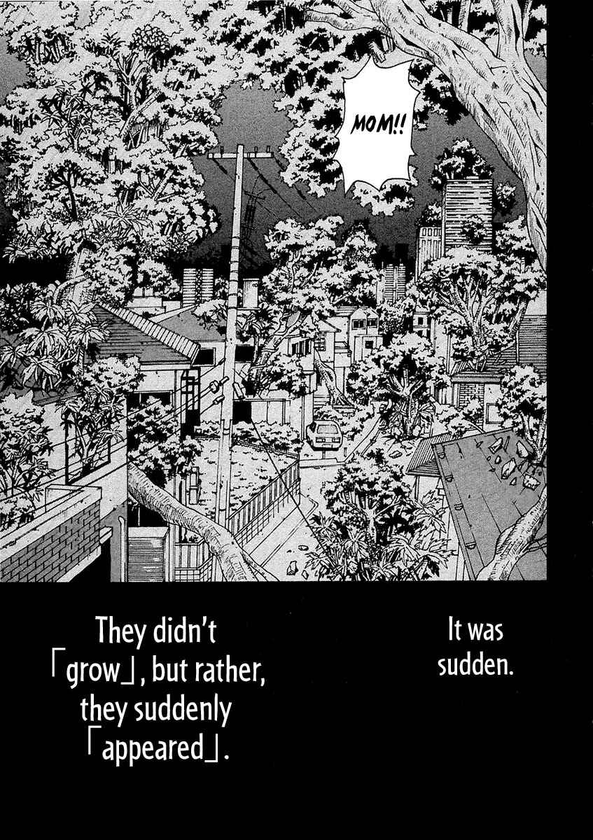 Page 13 Chapter 23 Verdant Lord