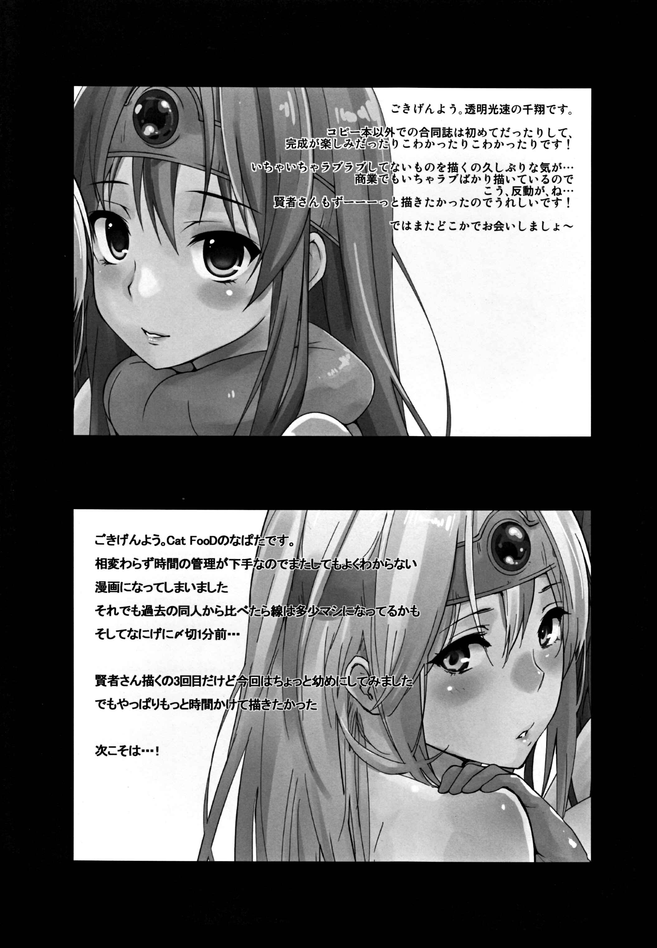 Page 23 Chapter Unknown_0b6a Dragon Quest III - Kenja-san Level 14 (Doujinshi)