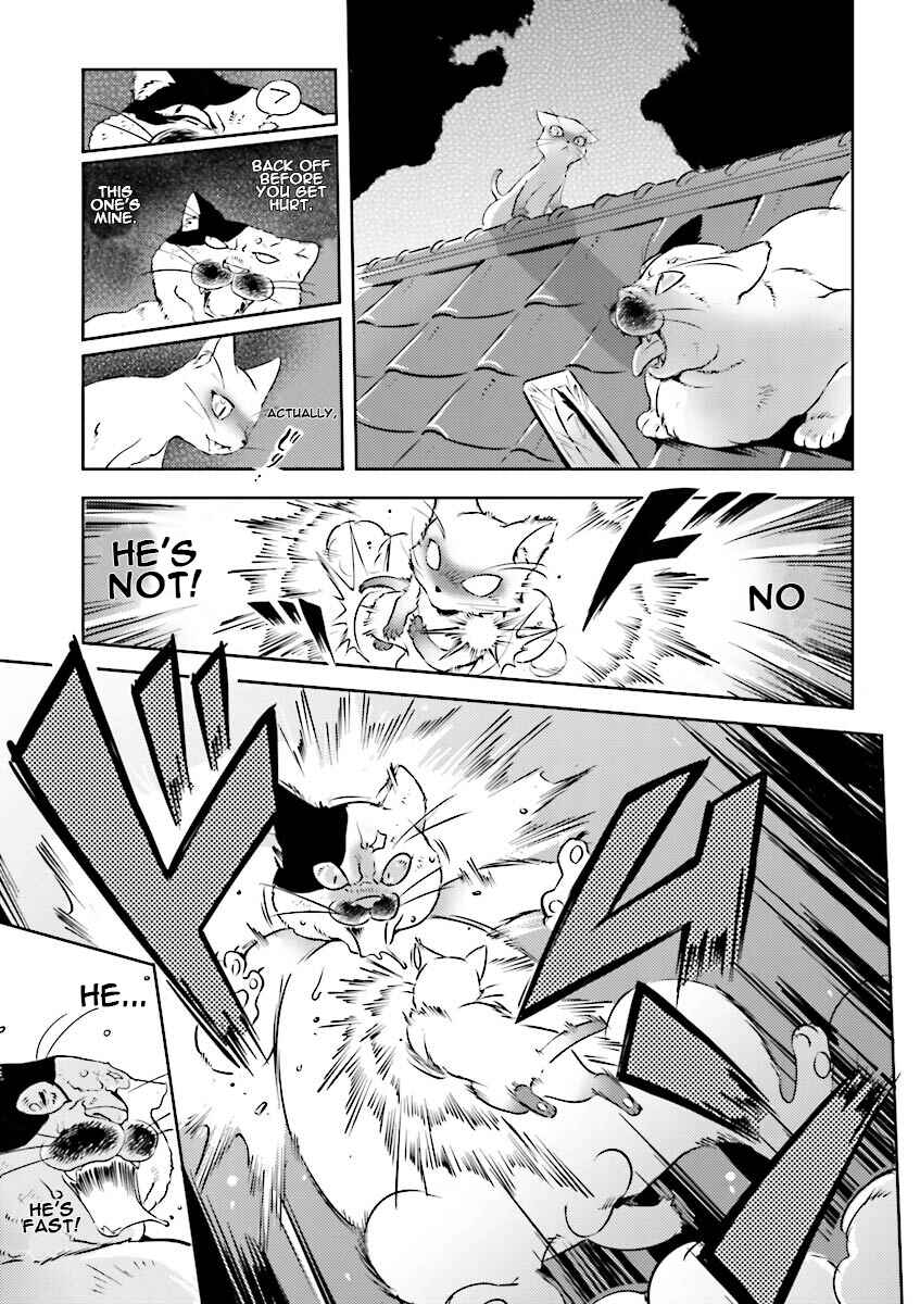 Page 11 Chapter 5 Chars Daily Life
