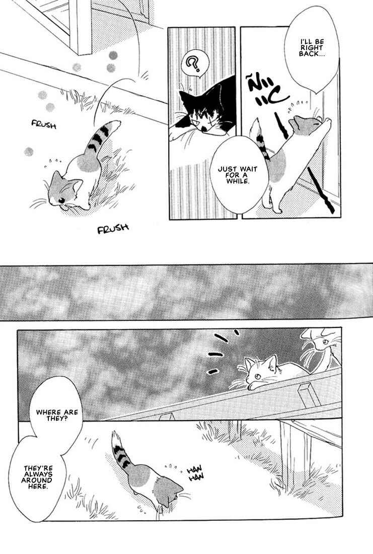Page 5 Chapter 2 Shippo no Kimochi