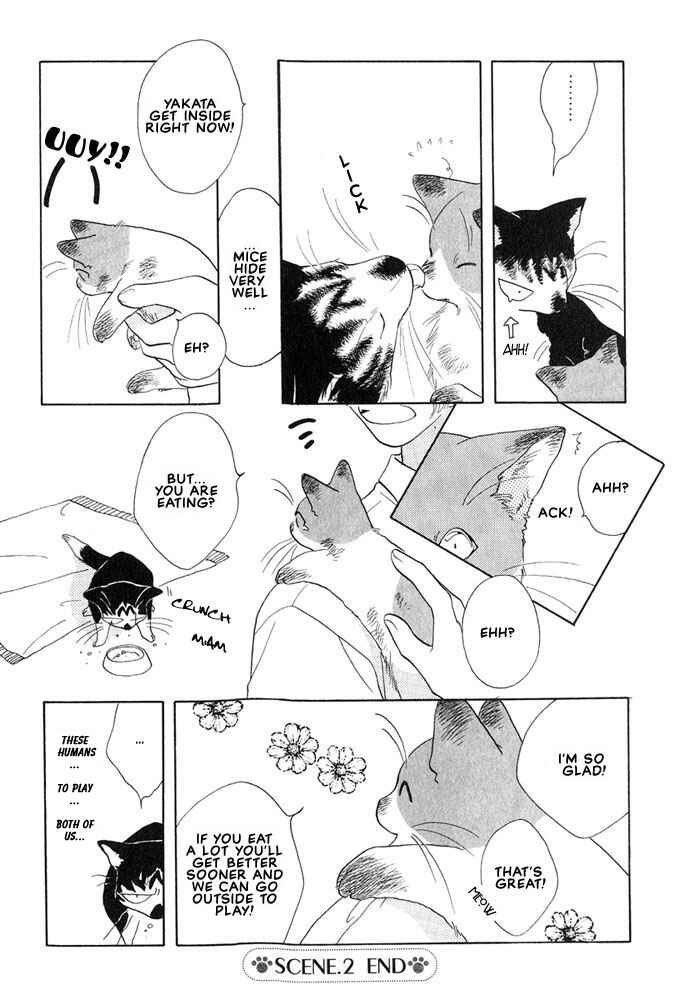 Page 8 Chapter 2 Shippo no Kimochi