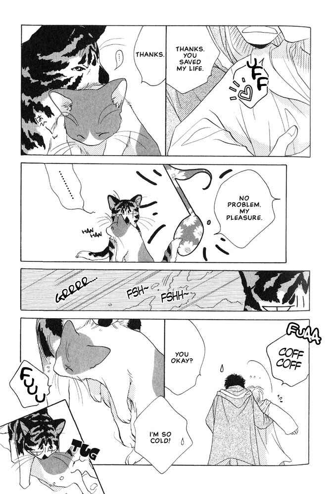 Page 8 Chapter 5 Shippo no Kimochi