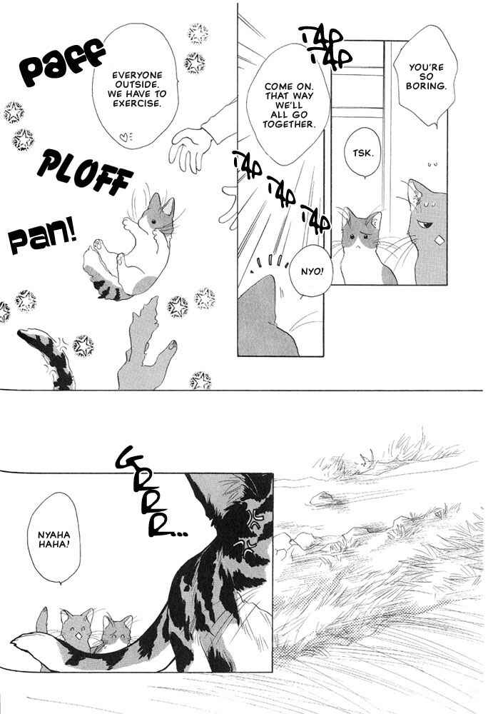 Page 5 Chapter 4 Shippo no Kimochi
