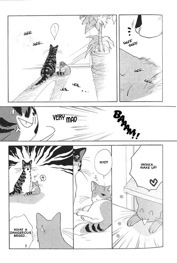 Page 5 Chapter 3 Shippo no Kimochi