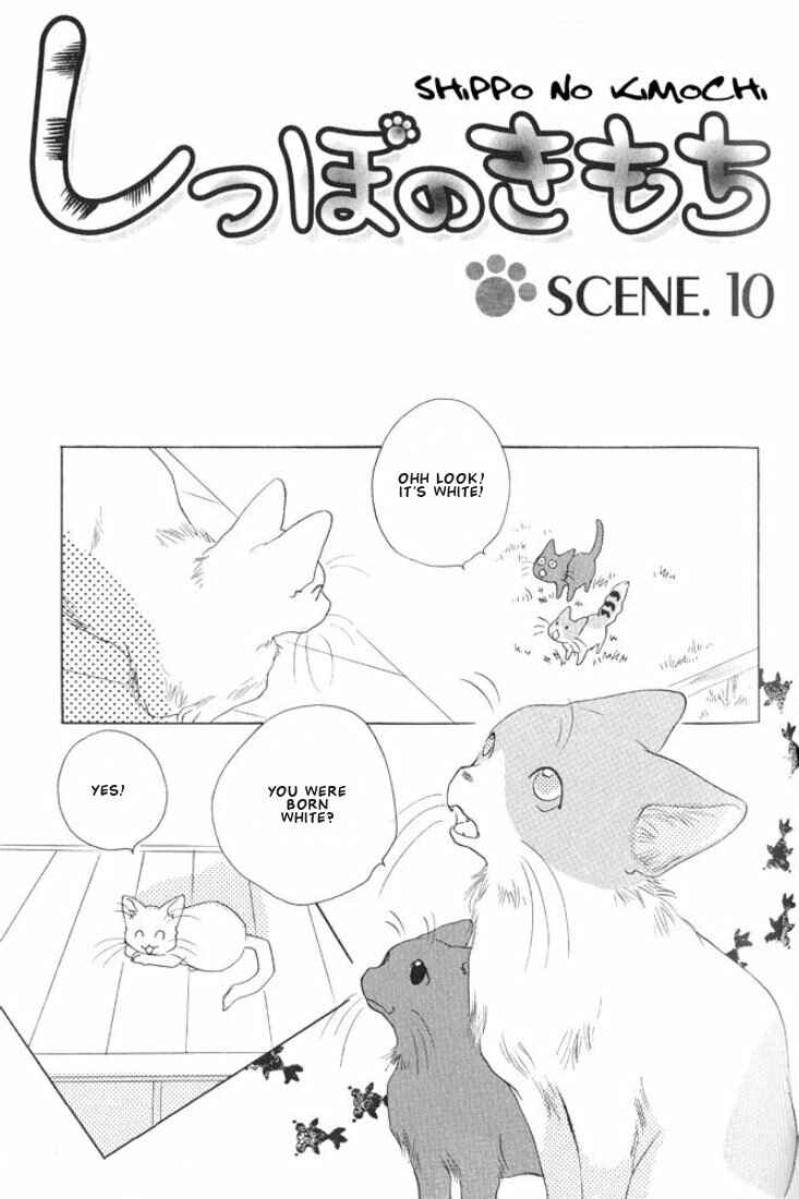 Page 1 Chapter 10 Shippo no Kimochi