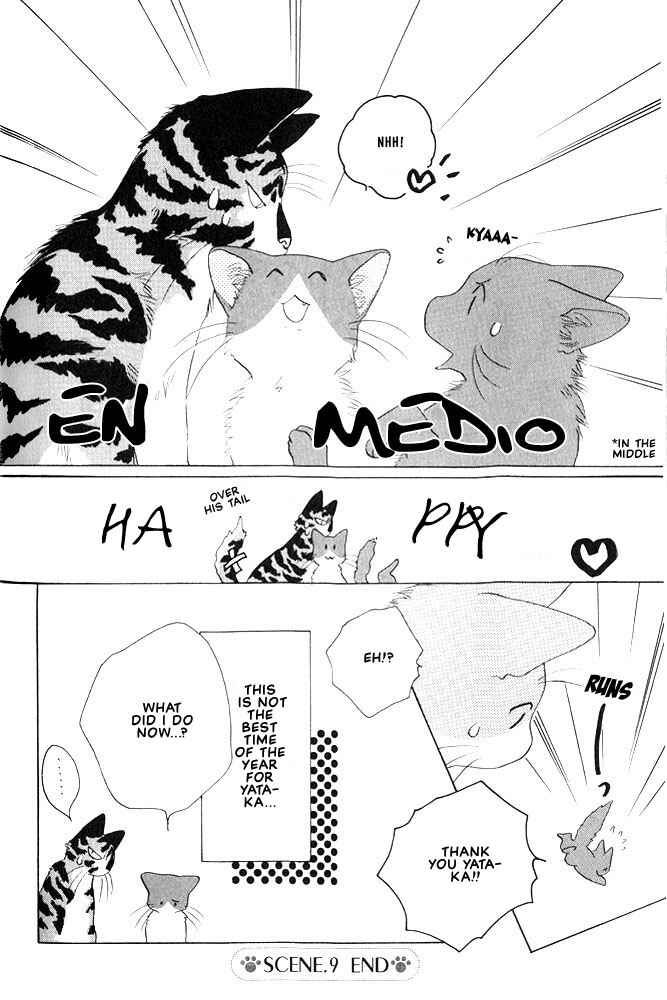 Page 6 Chapter 9 Shippo no Kimochi