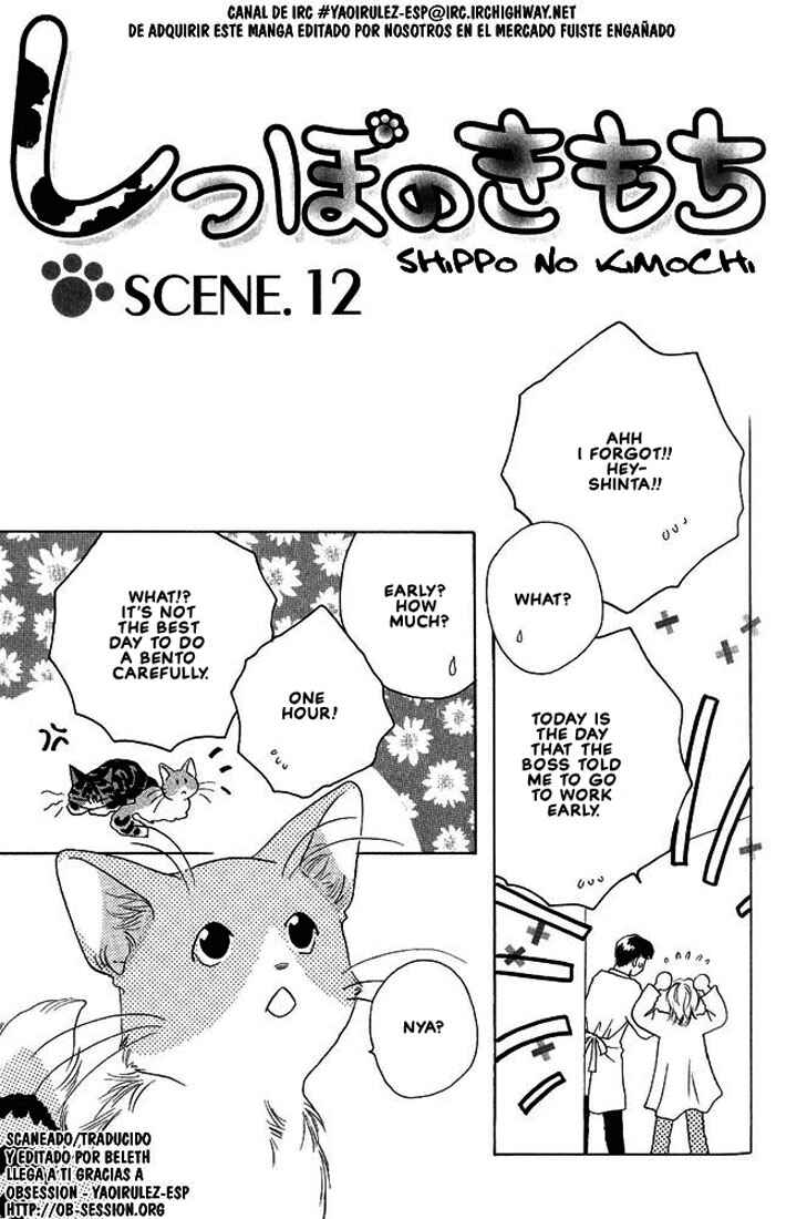 Page 2 Chapter 12 Shippo no Kimochi
