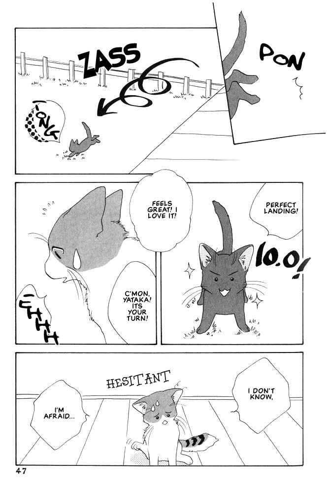 Page 6 Chapter 7 Shippo no Kimochi