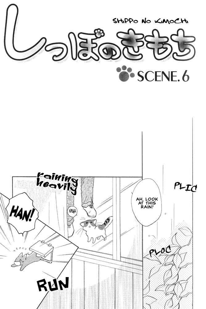Page 3 Chapter 6 Shippo no Kimochi