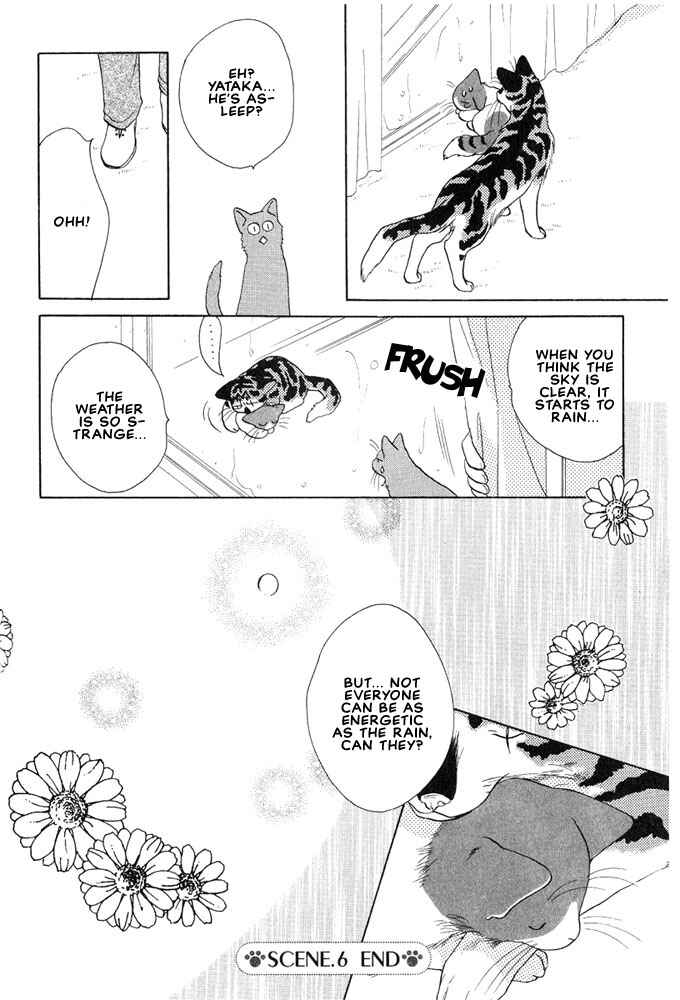 Page 8 Chapter 6 Shippo no Kimochi
